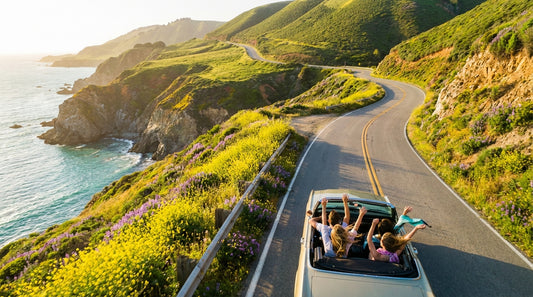 spring break road trip - Cell Phone Seat cup holder mount